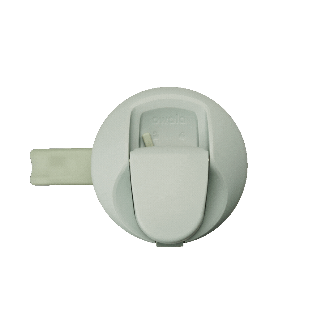 Summer Paradise - Image 4