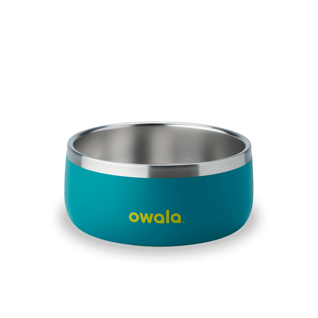 Pet Bowl - Image 9
