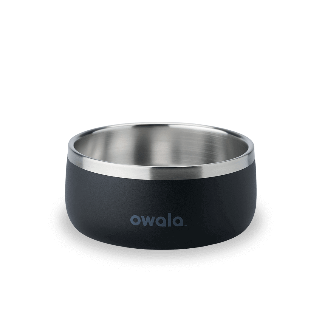 Pet Bowl - Image 13